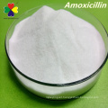 CAS 26787-78-0 veterniary medicine best price amoxicillin raw material, amoxicillin soluble powder